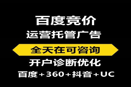 百度优化推广案例剖析：某电商平台的成功之路